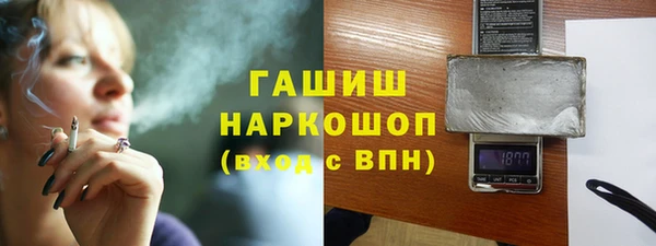 тгк Гусев