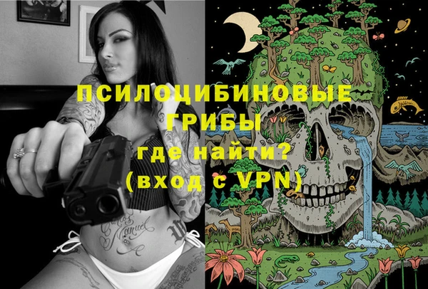 тгк Гусев