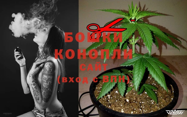 бутират Гусь-Хрустальный
