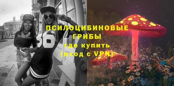 тгк Гусев