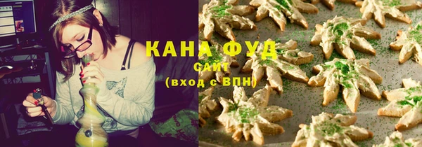 тгк Гусев