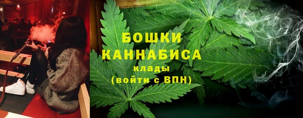 прущие грибы Горняк