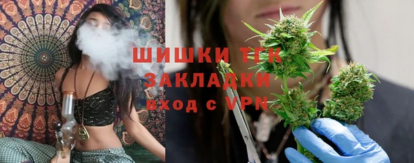 тгк Гусев