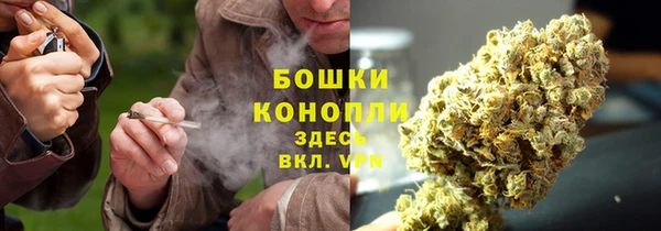 бошки Гусиноозёрск