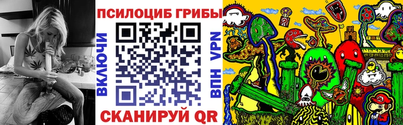 где купить наркоту  Павловская  маркетплейс телеграм  Псилоцибиновые грибы MAGIC MUSHROOMS 